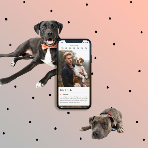 Dig – The Dog Person’s Dating App Launched hero image